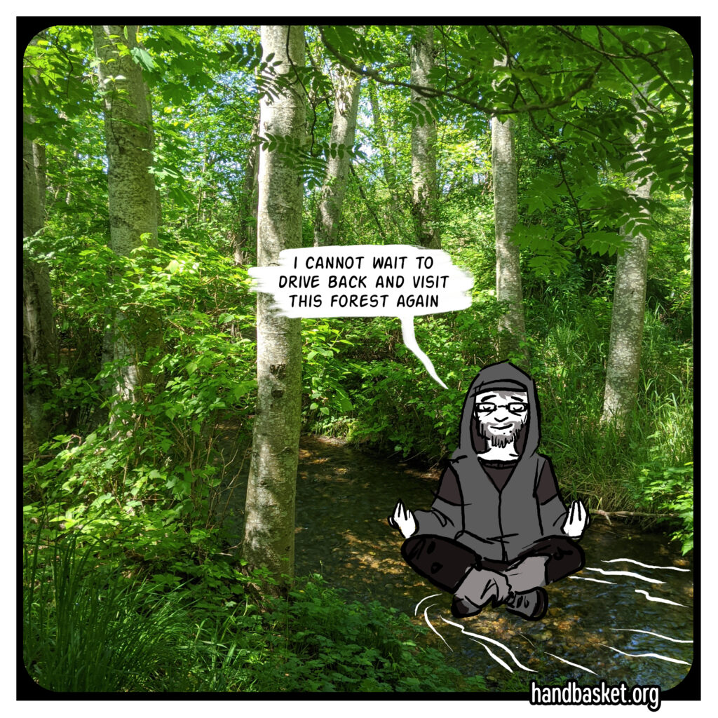 photo of serene trees and a peaceful creek, basically so over-the-top nice that looks like a condolences card, with a cartoon of me meditating and saying "I cannot wait to visit this forest again" 