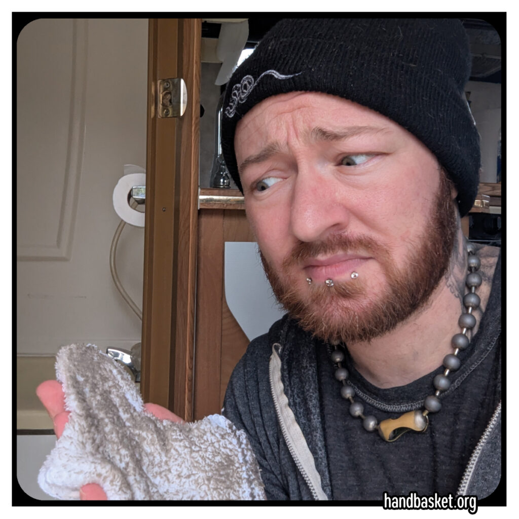 a closeup of my face looking deeply concerned at the filthy washrag in my hand